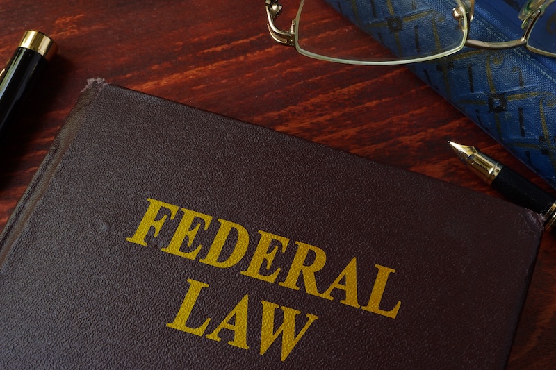 A brown book titled "Federal Law" in gold letters rests on a wooden table. Nearby are a blue book, reading glasses, and a black-and-gold pen—references to legislation addressing issues like revenge porn.